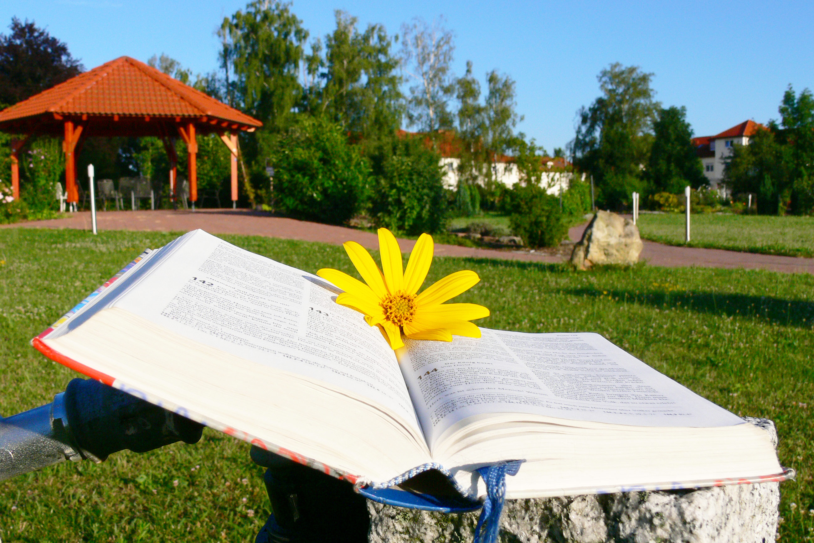 Lebenspark-Mehr-als-Wohnen-Lachen-Bibel