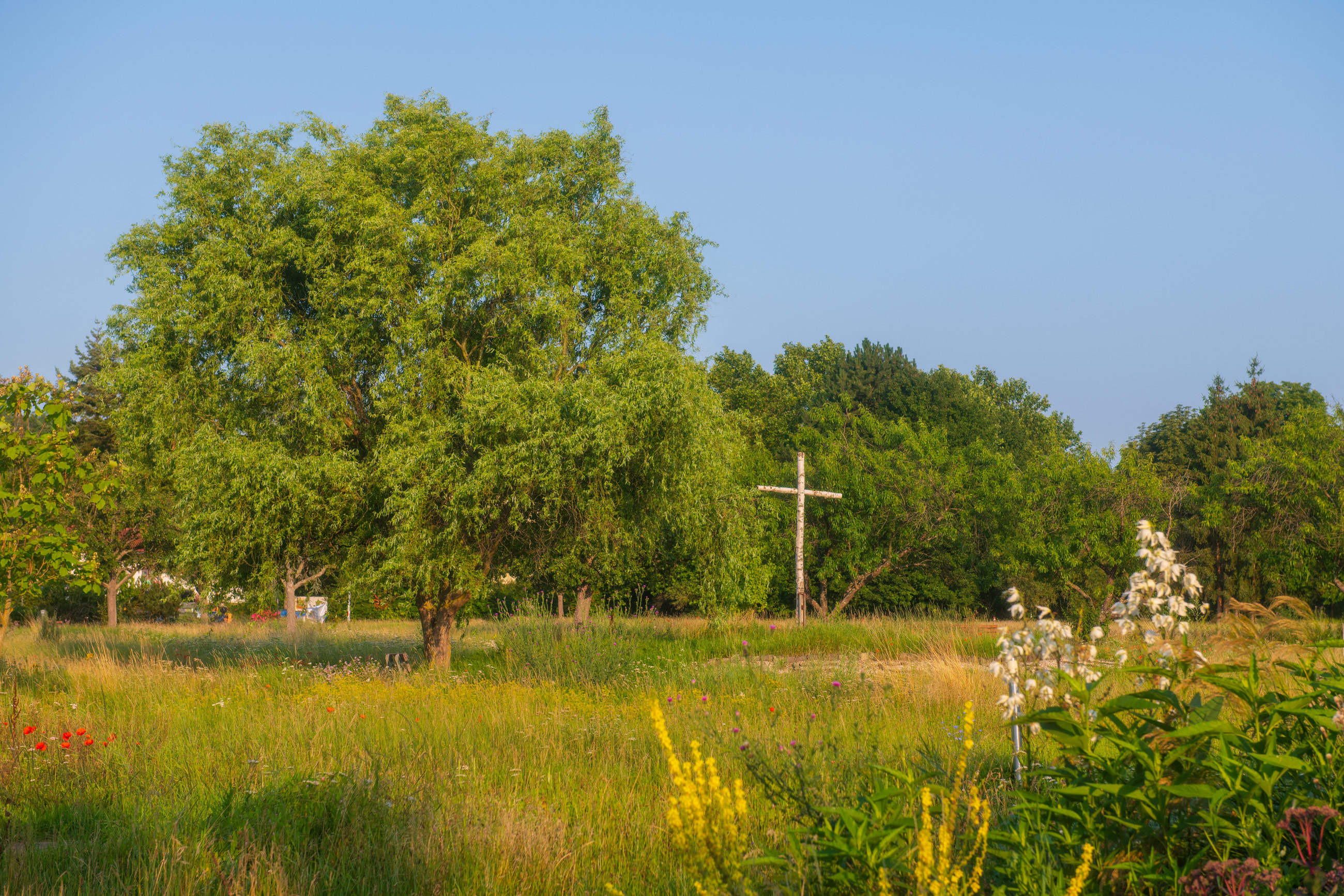 Lebenspark-Mehr-als-Wohnen-Lachen-Park