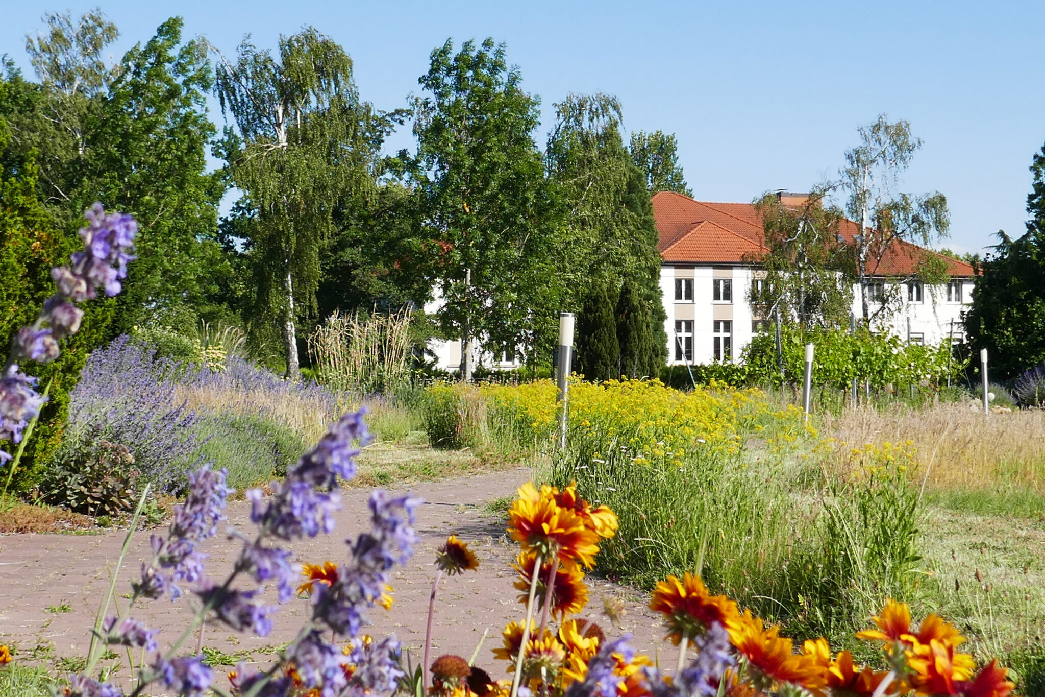dgd-lebenspark-lachen-park